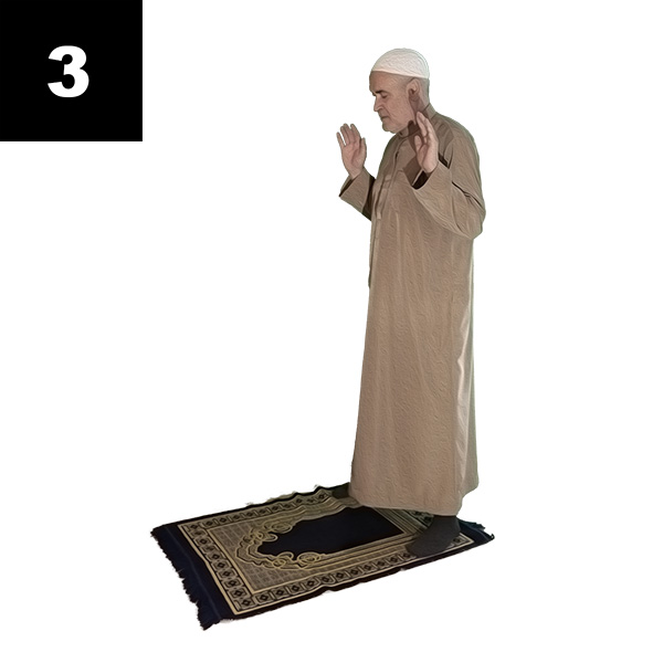 Bönen fortsätter med upprepning av takbîrat al-ihram. Det innebär att du höjer händerna upp i nivå med axlarna eller öronen med handflatorna riktade framåt och fingrarna något isär. Blicken ska vara riktad mot den punkt där din panna kommer att vidröra marken senare vid sujûd.
