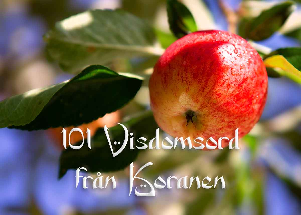 Texten 101 Visdomsord från Koranen och en bild på att äpple.