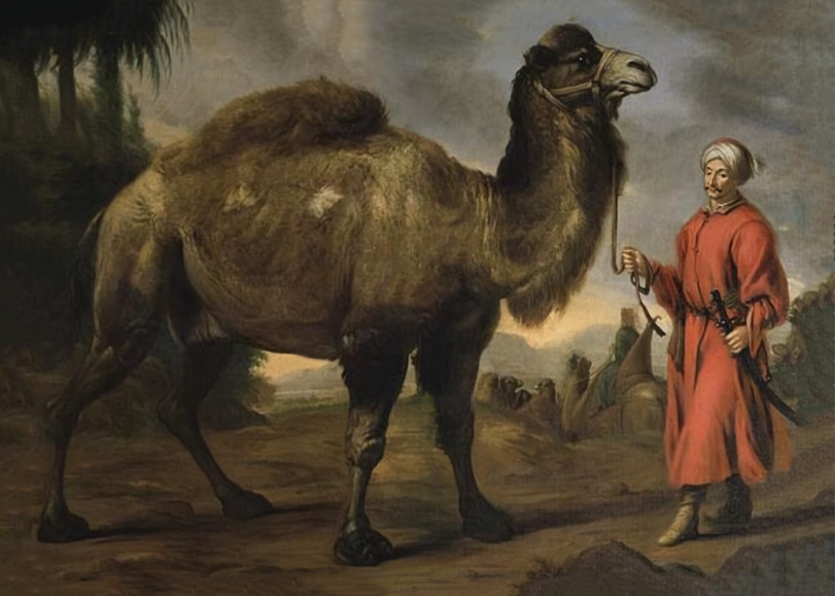 Målning "Kamel med förare" av David Klöcker Ehrenstrahl, förställande muslimen Schibaba med en av sina dromedarer.
